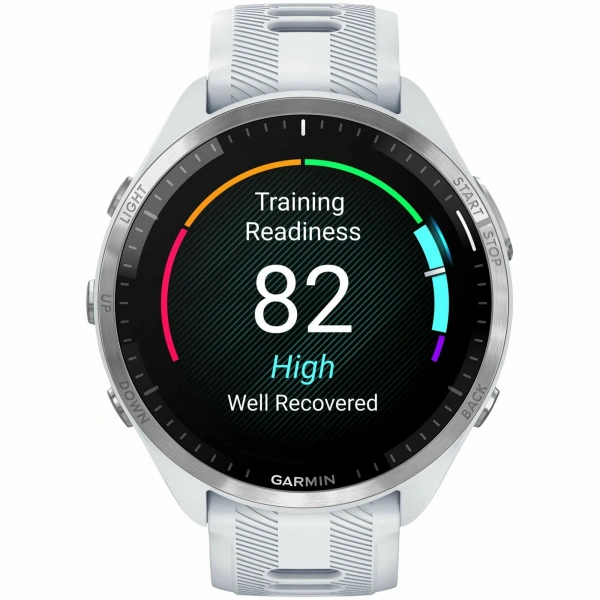 умные часы watch garmin forerunner 965 whitestone/powder grey silicone band 010-02809-11